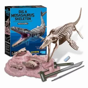 4M Kidzlabs/Mosasaurus Skeleton