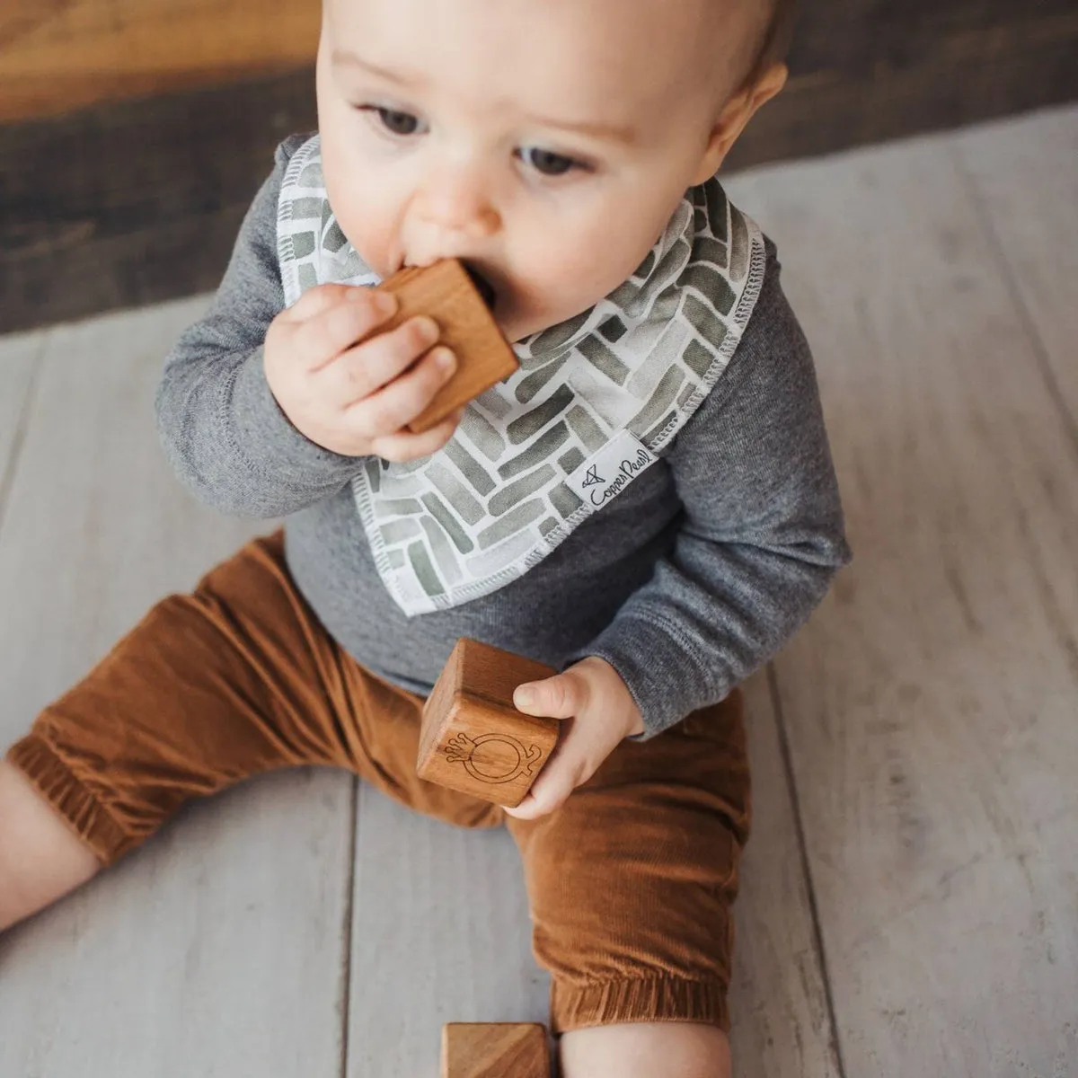 Baby Bandana Bibs