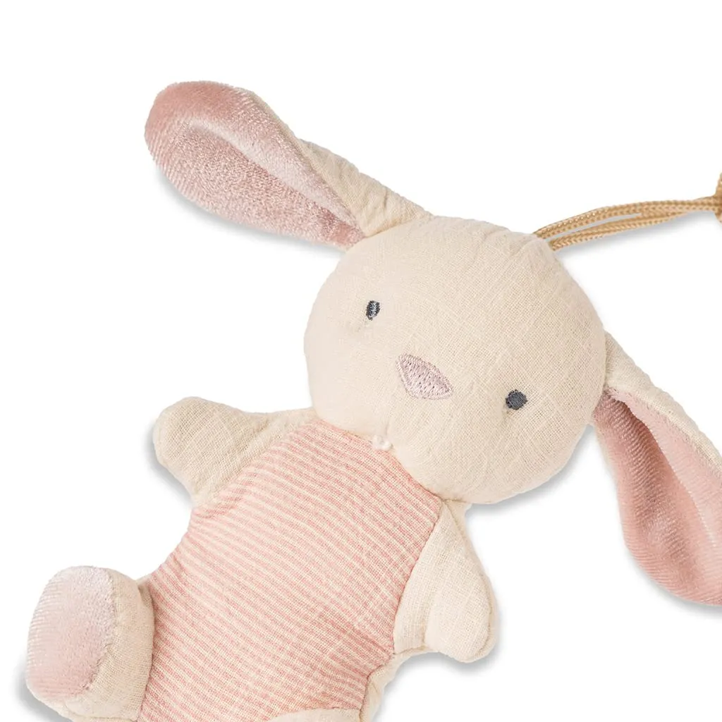 Bitzy Pal Natural Rubber Pacifier and Lovey
