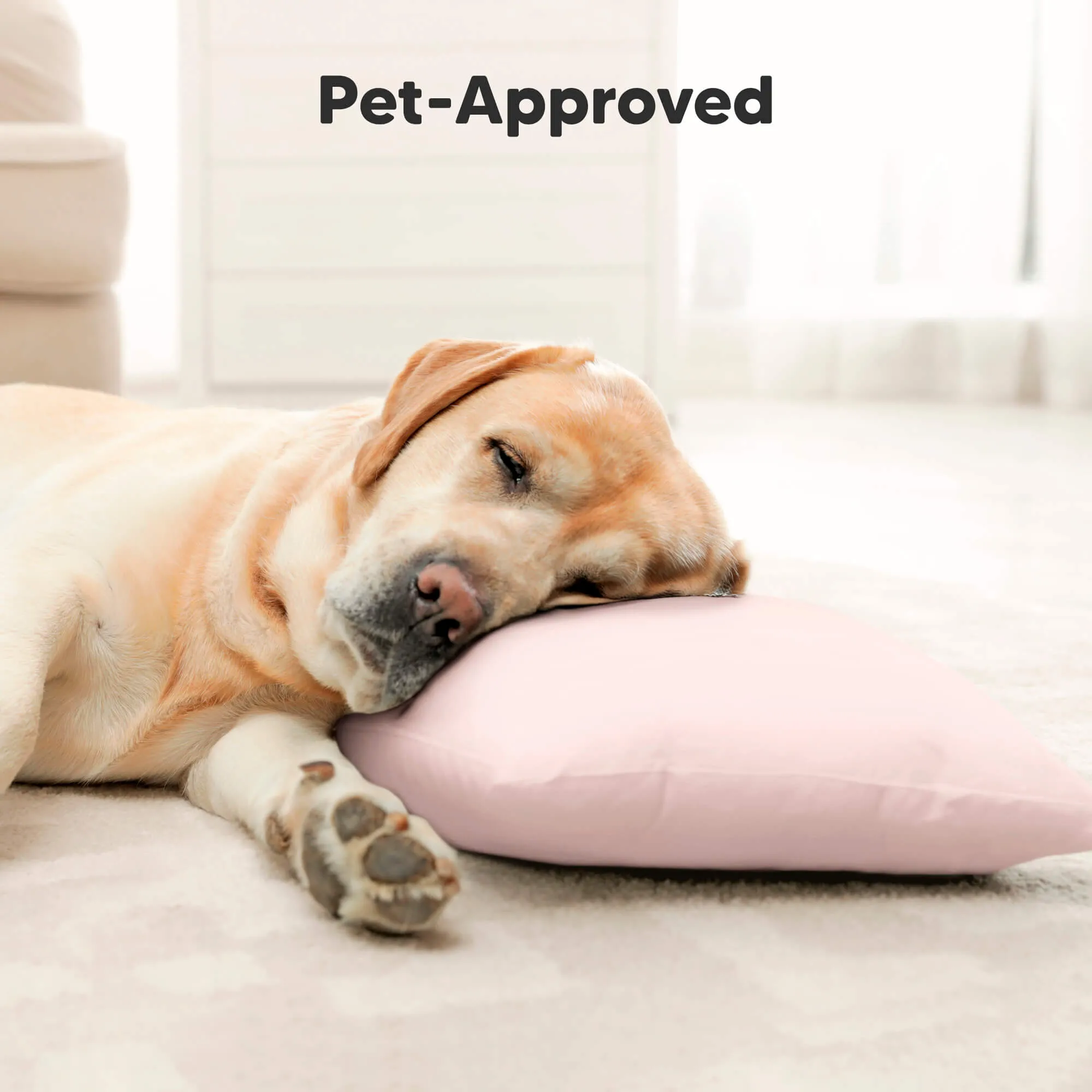 Buddy Toddler Pillow (Flutter)