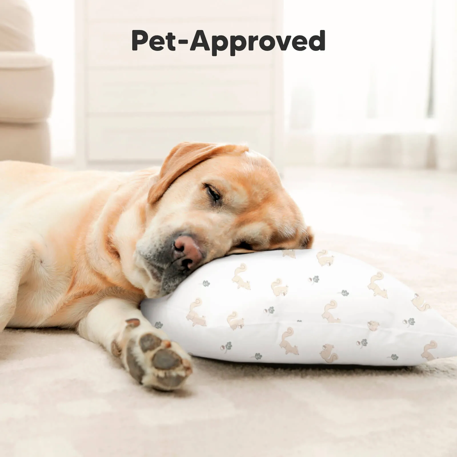Buddy Toddler Pillow (Nibbles)