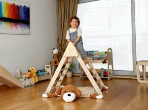 Climbing Triangle - Arch / Rocker With Jungle Pillow | Foldable Montessori Climbing Set