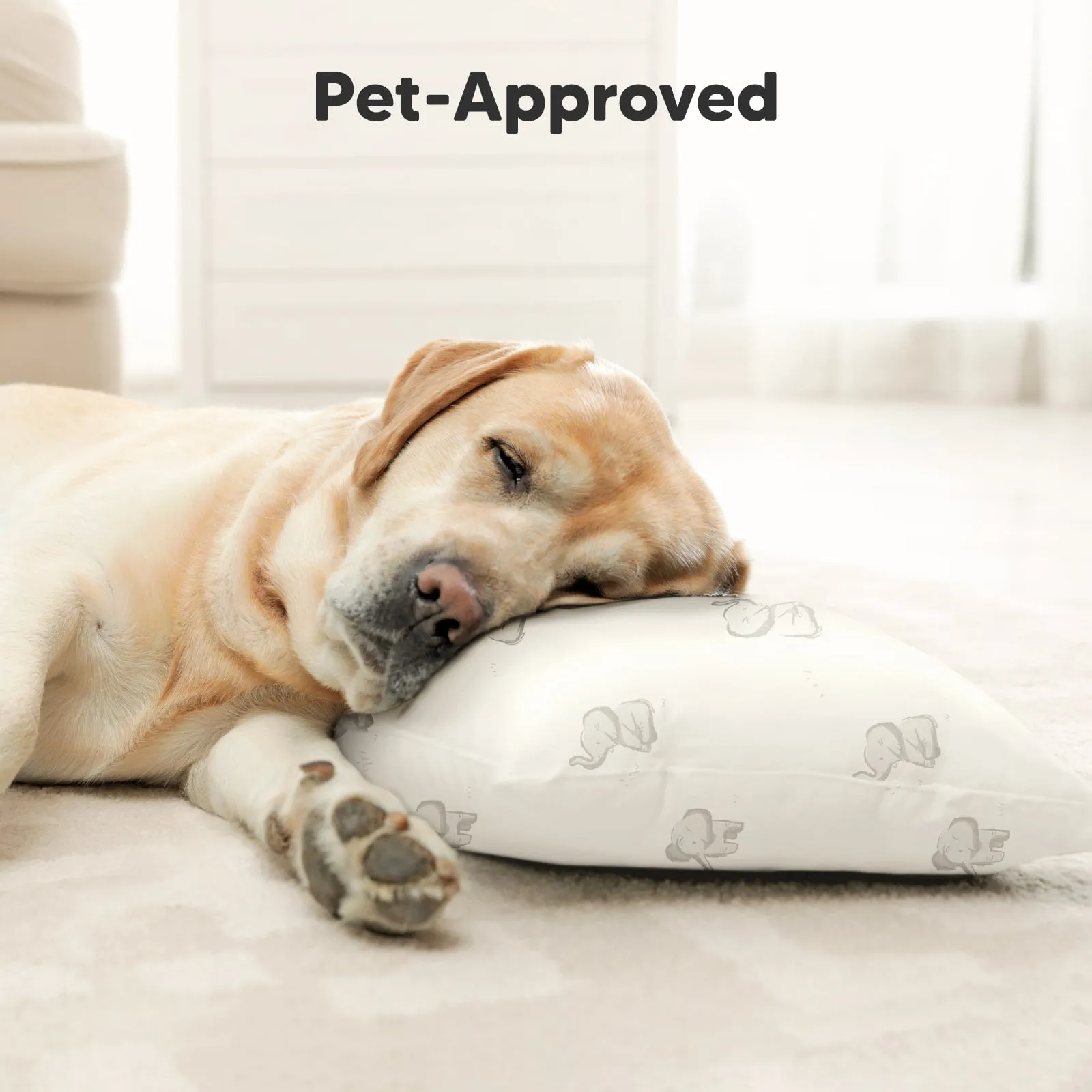 Cuddly Toddler Pillow with Pillowcase (Elly)