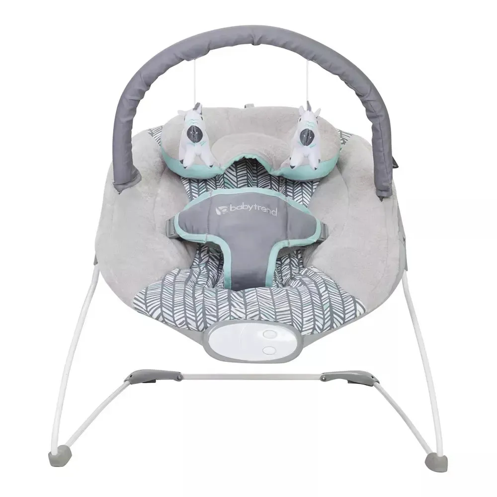 EZ Baby Bouncers - Ziggy