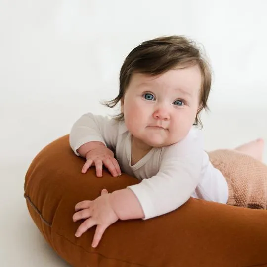 Feeding and Support Pillow VARIOUS COLOURS