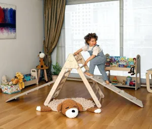 Foldable Climbing Triangle With 2 Ramps | Pikler Triangle for Kids