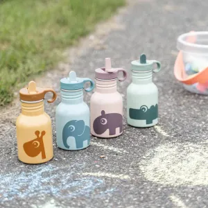 Metal Bottle VARIOUS COLOURS