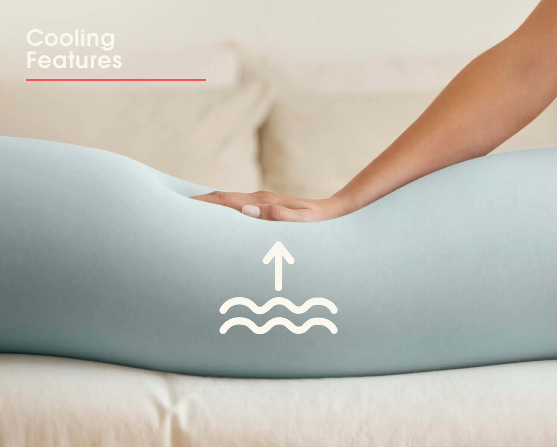 Nursing & Pregnancy Pillow | Eucalyptus