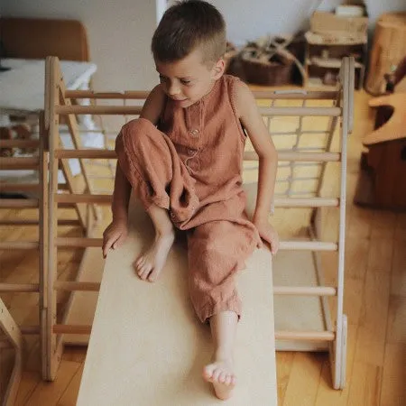 Pikler Ramp & Slide