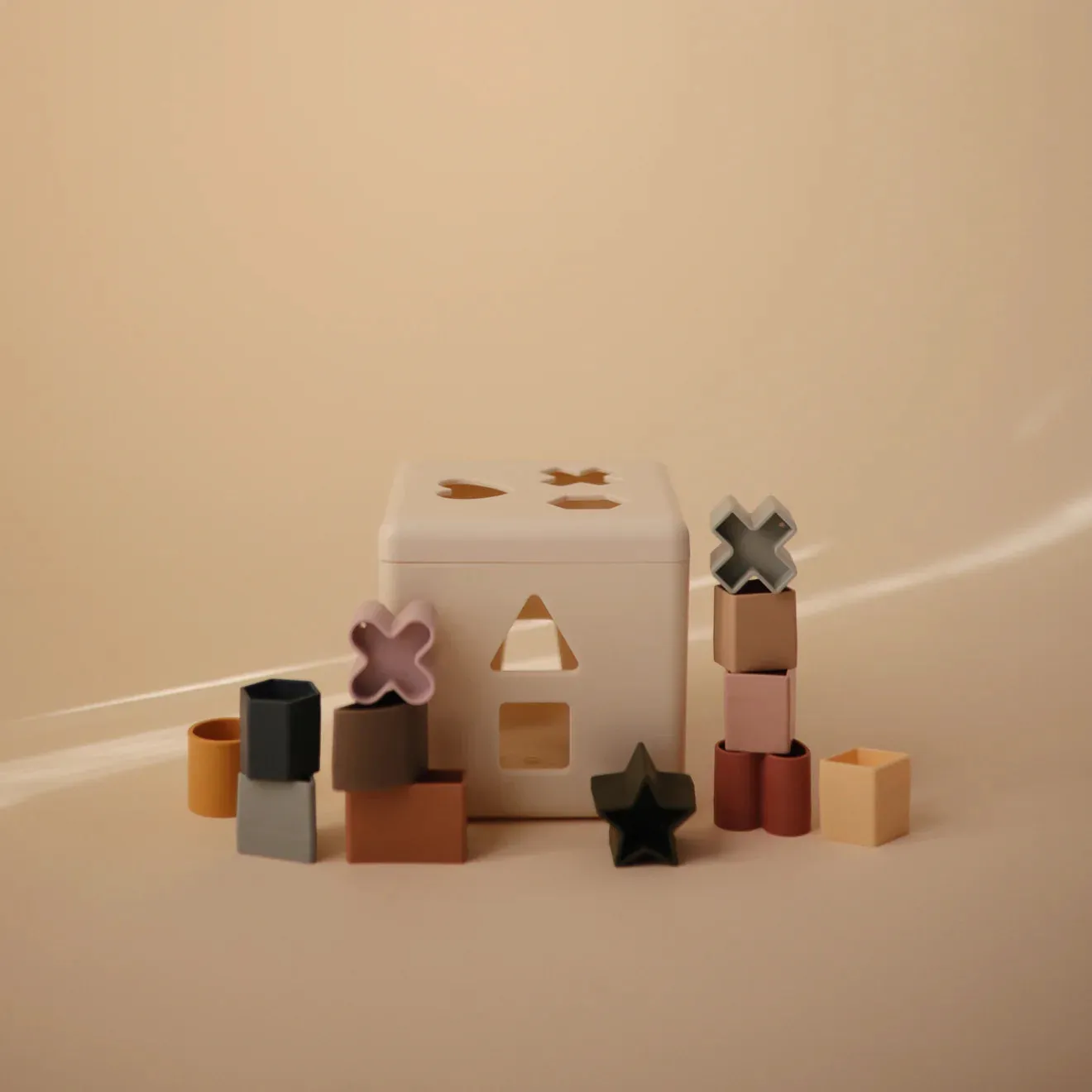 Shape Sorting Box