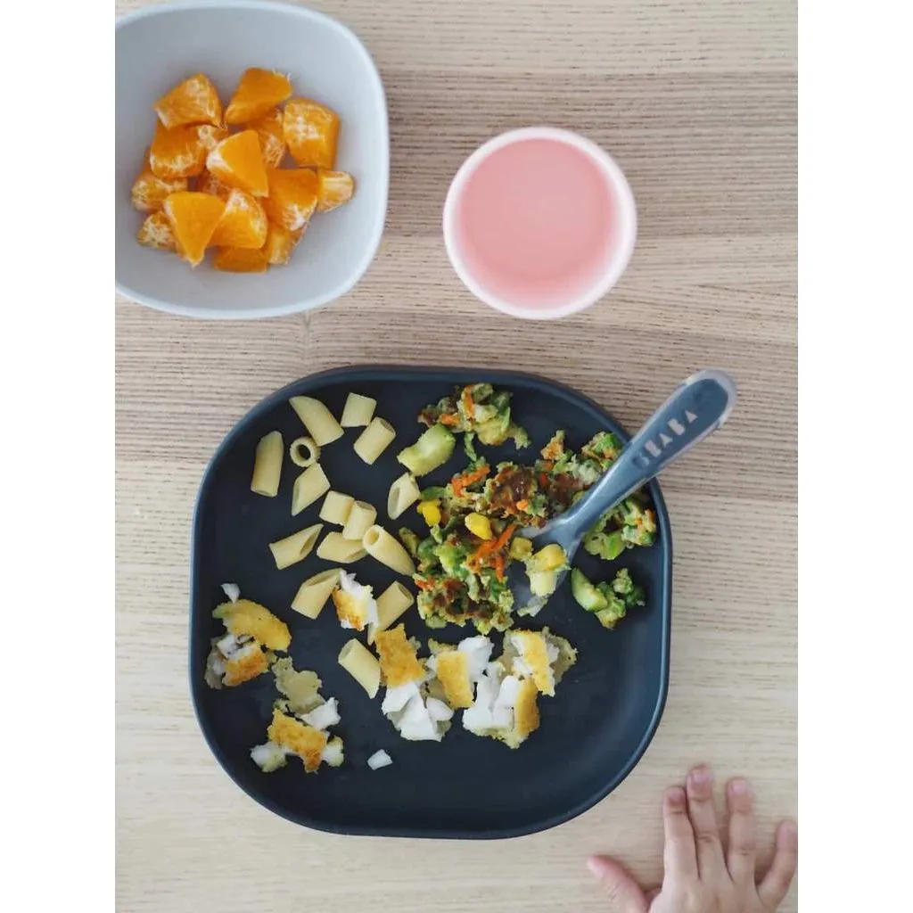 Silicone Suction Meal Set of 4 VARIOUS COLOUR