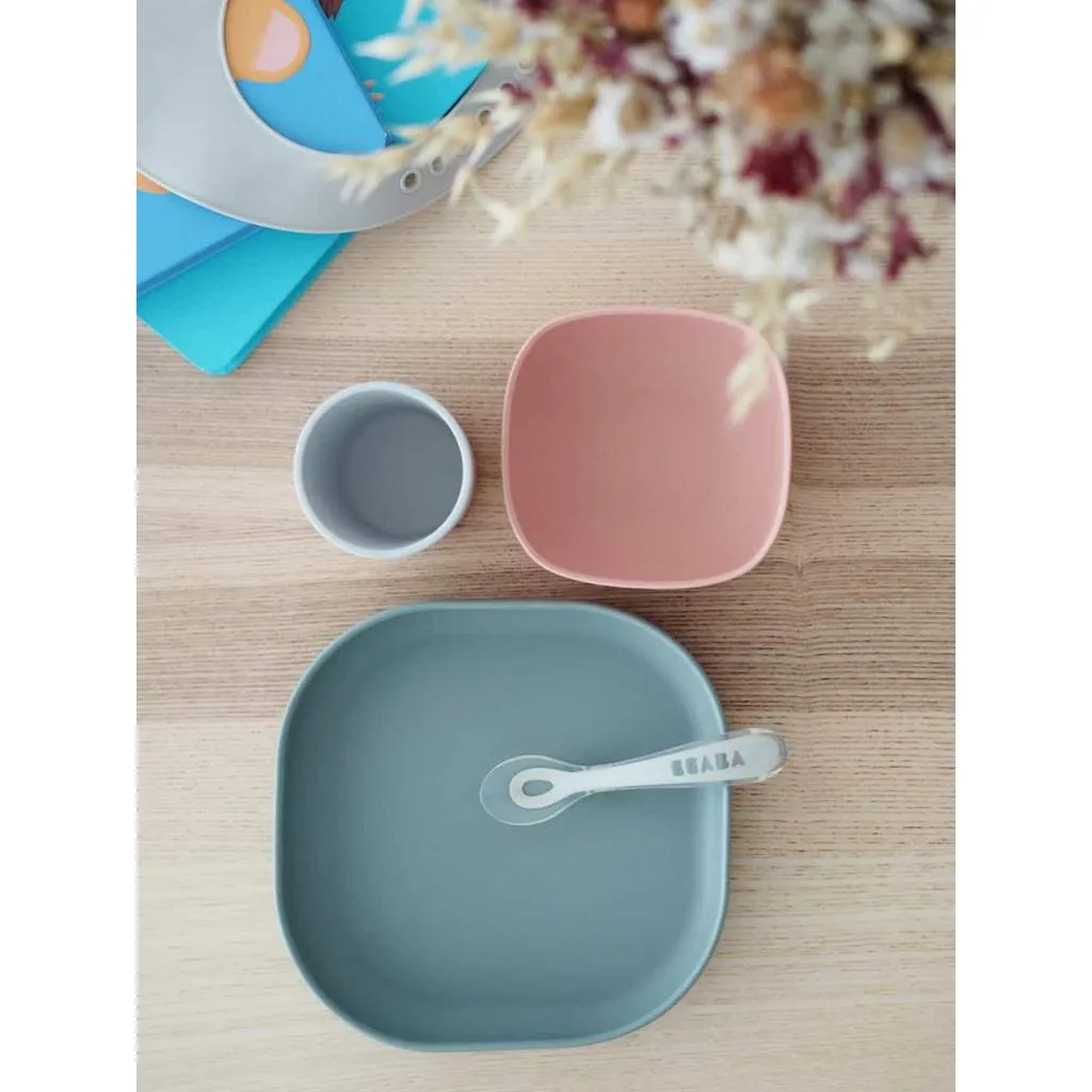 Silicone Suction Meal Set of 4 VARIOUS COLOUR