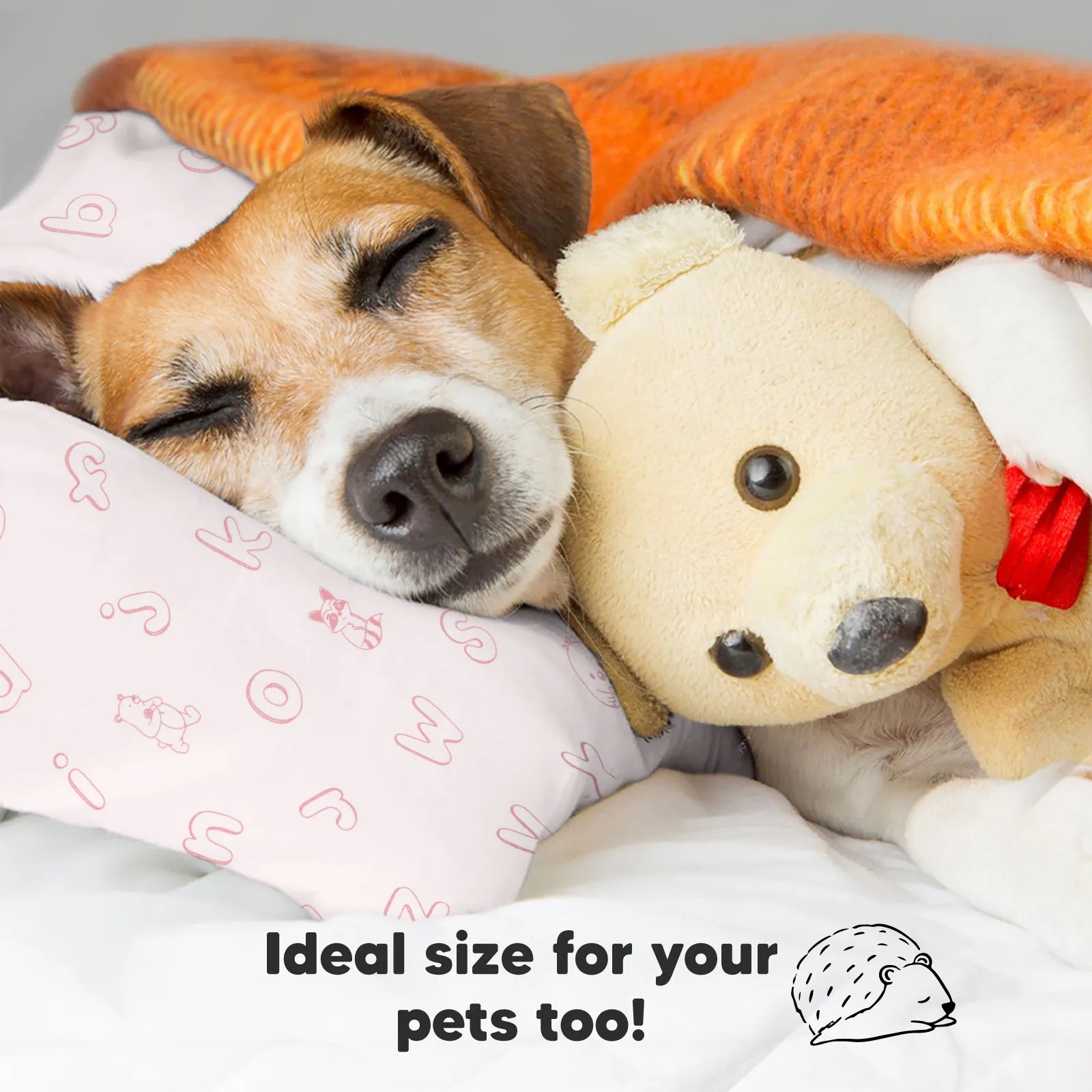 Toddler Pillow with Pillowcase (ABC Land Rose)