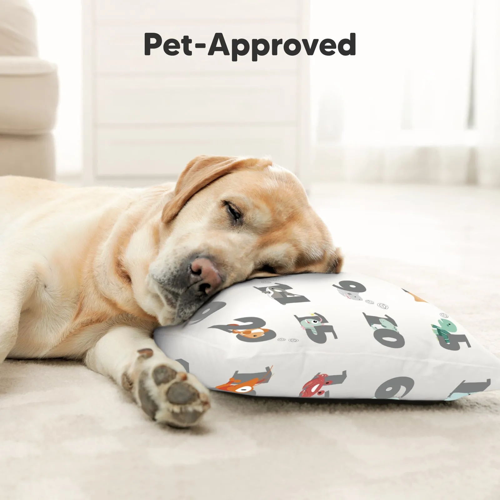 Toddler Pillow with Pillowcase (Kea123)