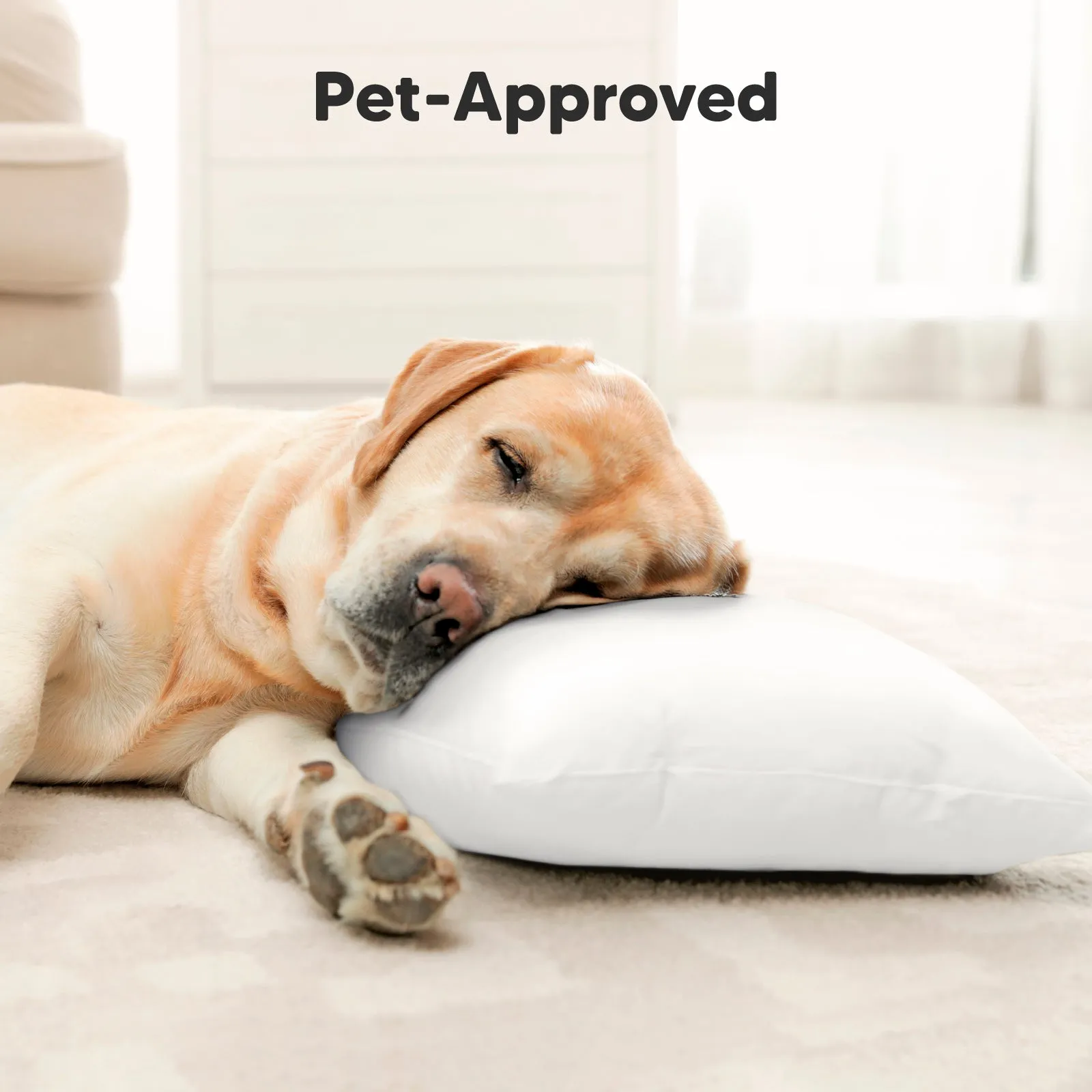 Toddler Pillow with Pillowcase (Soft White)